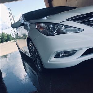 Meet your Posher, Sammy